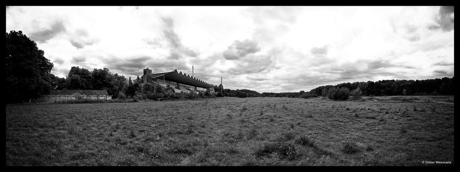 Renbaan Groenendaal 2010