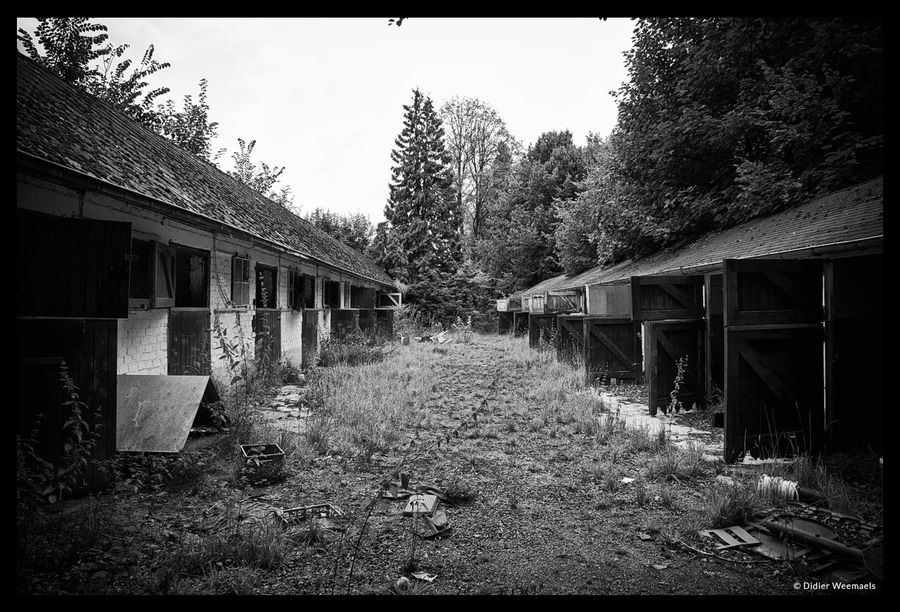 Renbaan Groenendaal 2010
