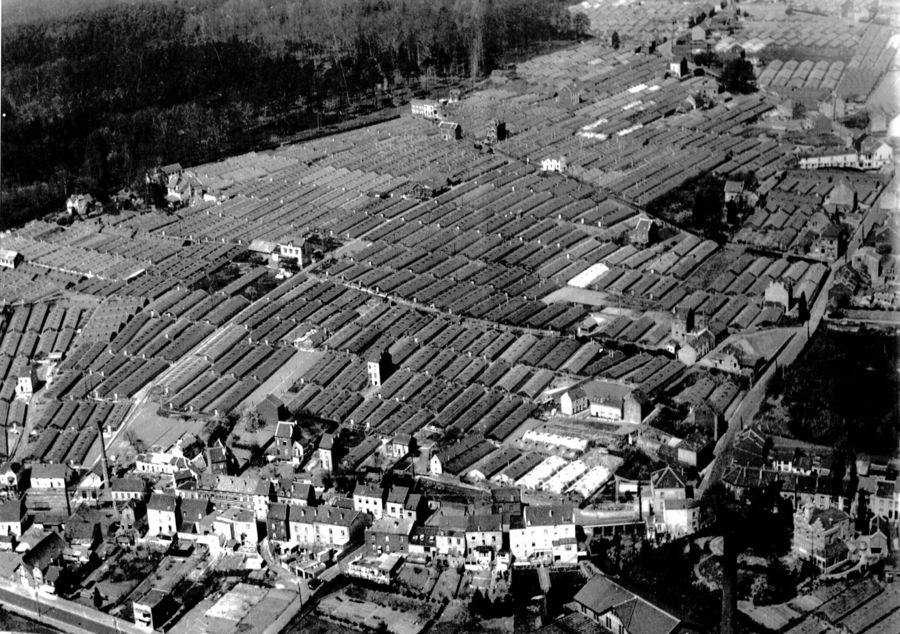 Schimp serres dumberg luchtfoto